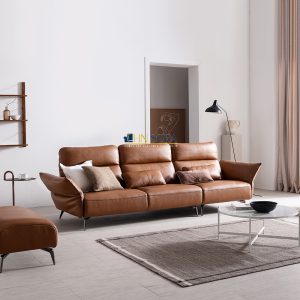 2 Mau sofa hien dai HNS39
