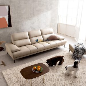 2 Mau sofa hien dai HNS90