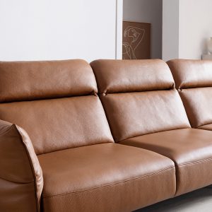 3 Mau sofa hien dai HNS39