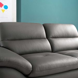 Mẫu sofa văng đôi da Microfiber HNS57 3 3 Mau sofa hien dai HNS58