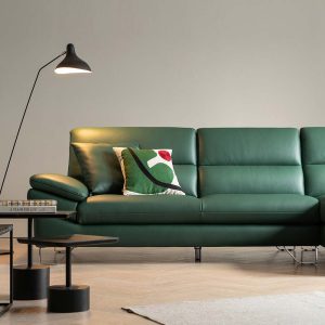 3 Mau sofa hien dai HNS67