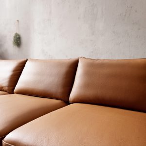 3 Mau sofa hien dai HNS88