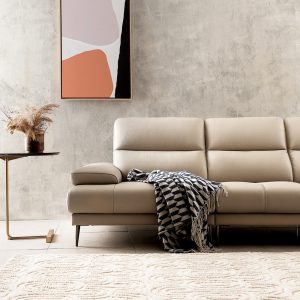 3 Mau sofa hien dai HNS90