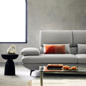 4 Mau sofa hien dai HNS35