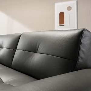 4 Mau sofa hien dai HNS66 1