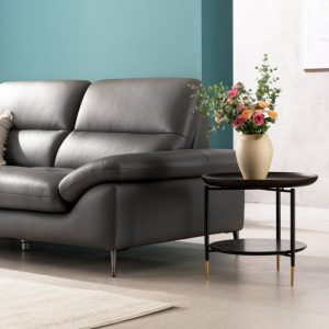 Mẫu sofa văng đôi da Microfiber HNS57 1 6 Mau sofa hien dai HNS57