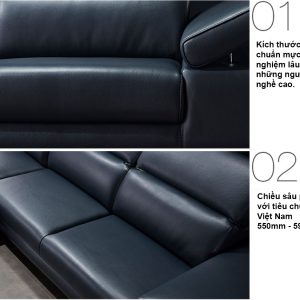 6. Sofa Hien Dai HNS05