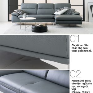 8 Mau sofa hien dai HNS10
