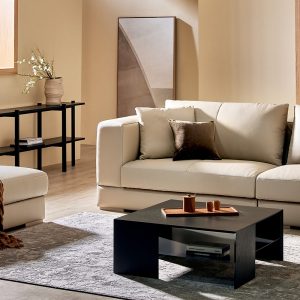 Sofa văng HNS162. Hiện đại và đơn giản 4 HNS162 2