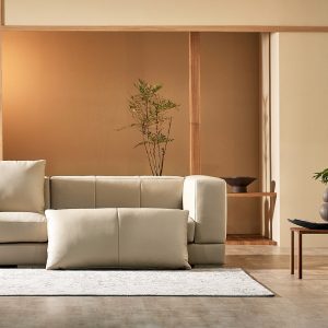 Sofa văng HNS162. Hiện đại và đơn giản 2 HNS162 4