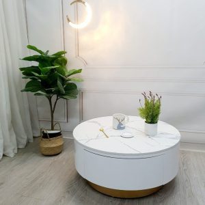 Bàn trà tròn hiện đại BT29 4 ban tra bt29 2