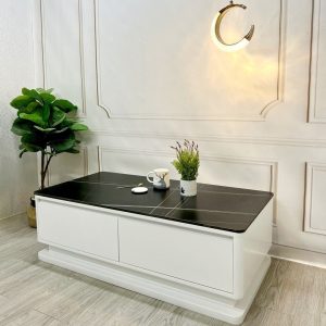 Bàn Trà Hiện Đại BT34 1 ban tra bt34