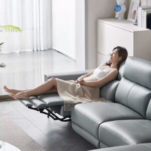 Sofa thư giãn nâng hạ điện HNS700 2 z4761274837719 5d7e84bd81316aca53ae554429562fd9