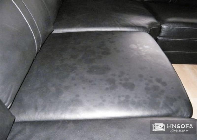 Bật mí 10 cách vệ sinh Sofa da lộn ngay tại nhà đơn giản 14 Vết mốc thường xuất hiện khi sofa tiếp xúc với độ ẩm
