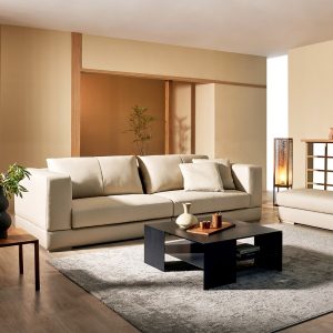 Sofa văng HNS162. Hiện đại và đơn giản