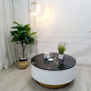 Alternative view of Bàn trà tròn hiện đại BT29