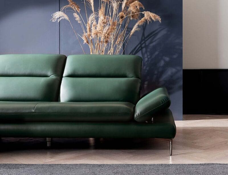 sofa-mau-xanh-la-cay-1